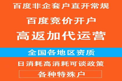 百度竞价代理技巧：经典成功案例解析